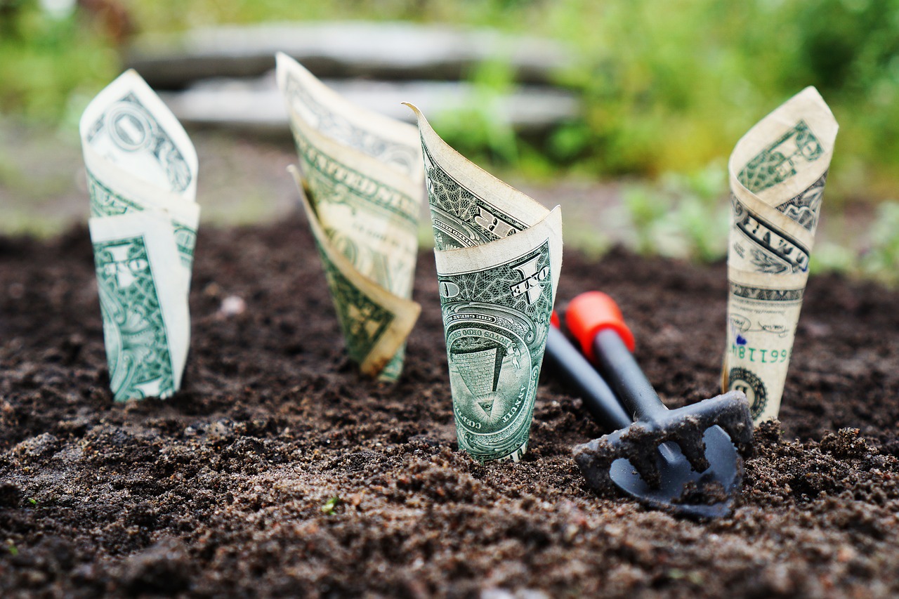 Read more about the article How to Create a Betting Account in India Fast Payout Review 2026: Bonus, App, Withdrawal Tested